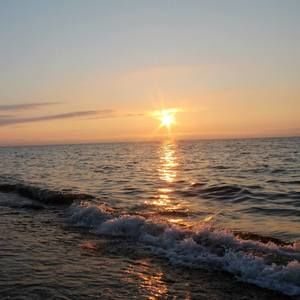 Meet your Posher, Karin